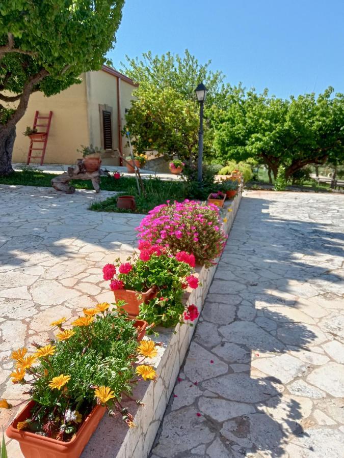 Il Poggetto Marzamemi B&B Esterno foto