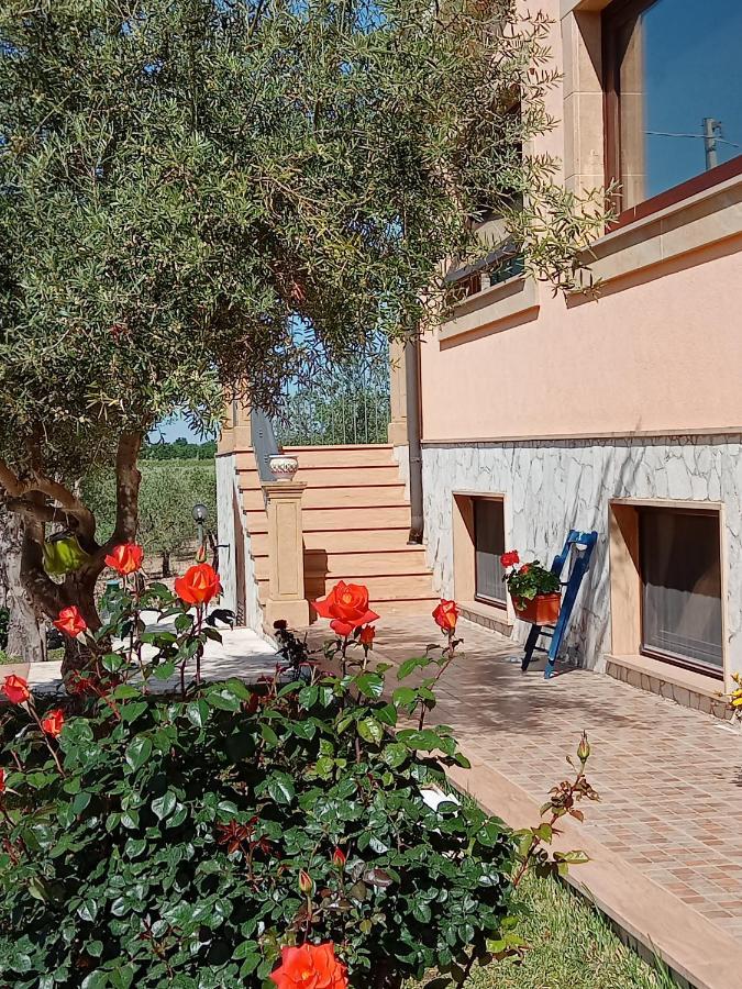 Il Poggetto Marzamemi B&B Esterno foto