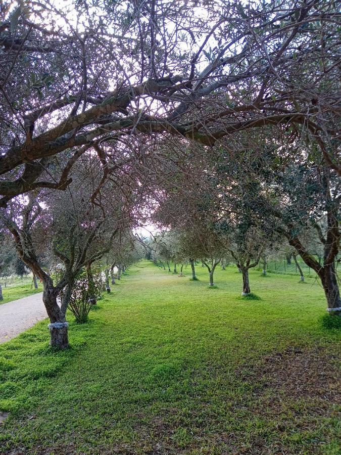 Il Poggetto Marzamemi B&B Esterno foto