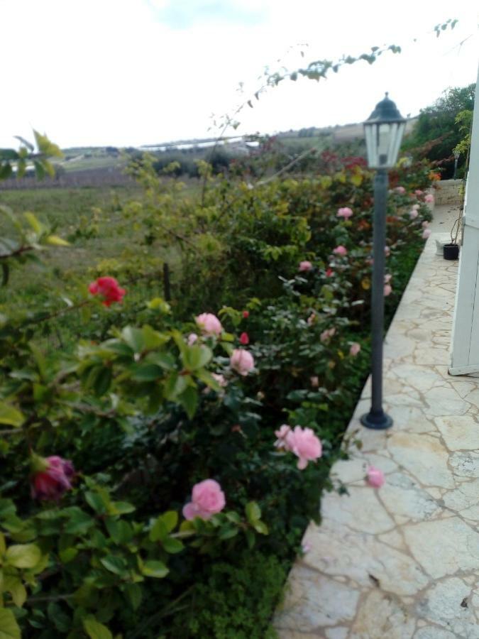 Il Poggetto Marzamemi B&B Esterno foto