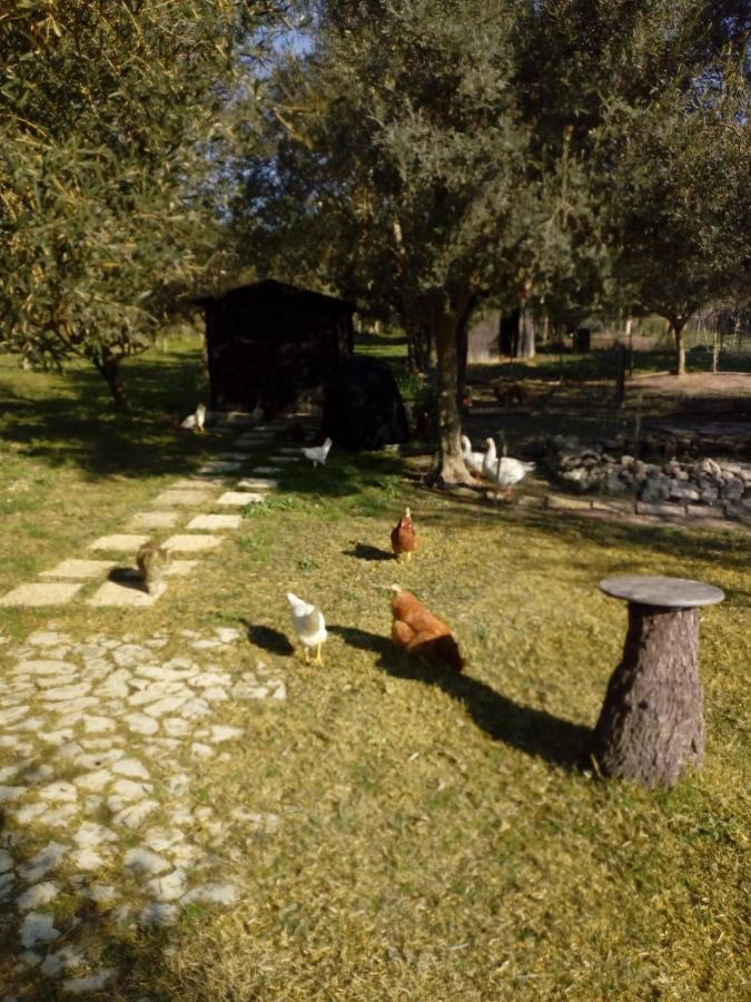 Il Poggetto Marzamemi B&B Esterno foto